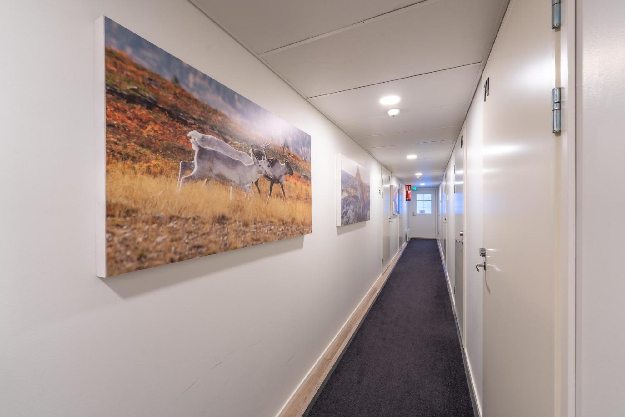 Kuukkeli Saariselkae Inn Esterno foto